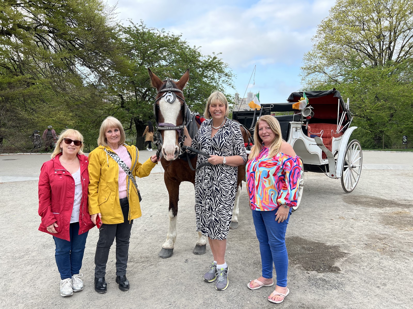 Four women posing beside a horse and carriage in a park