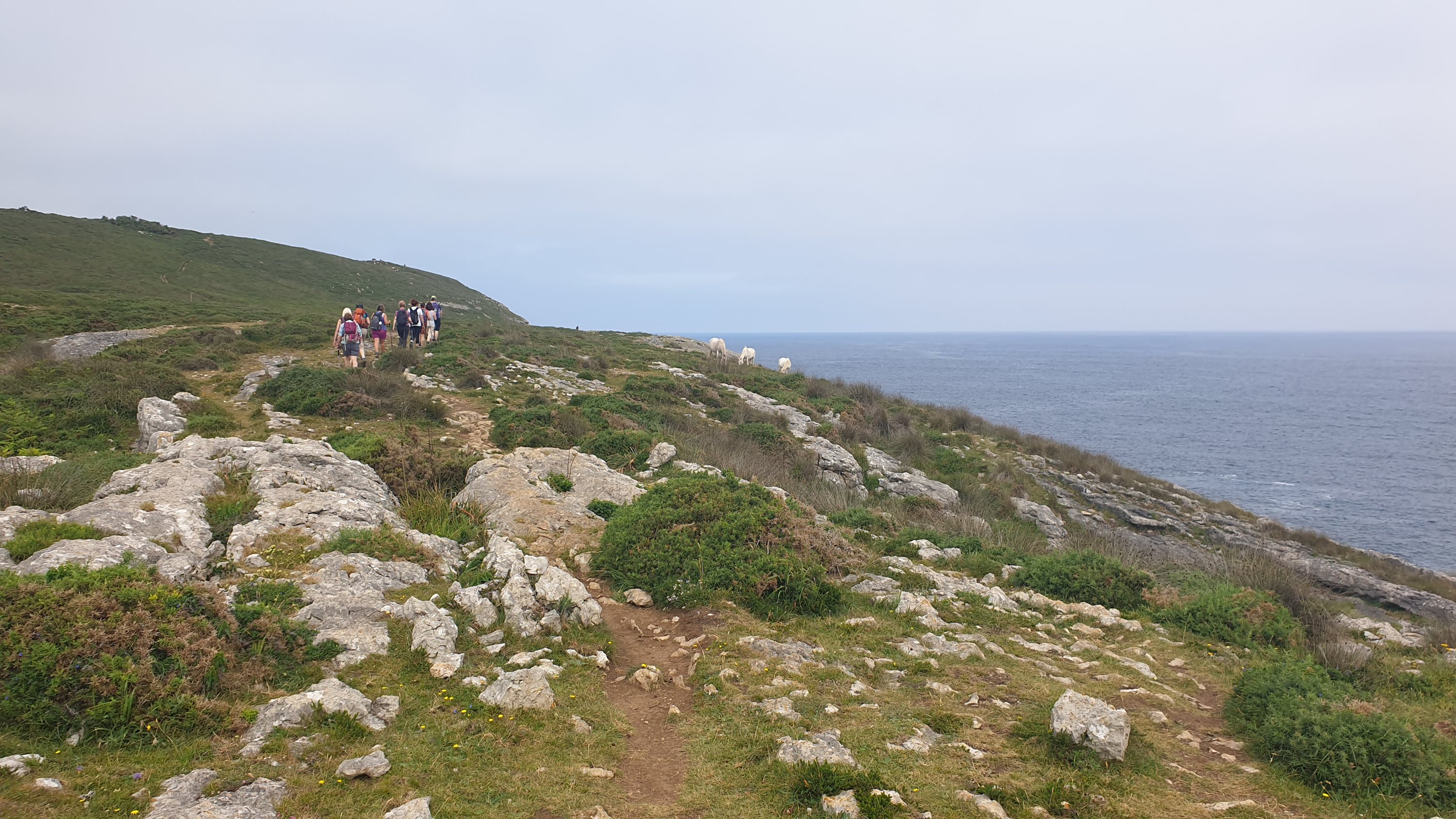 A group of walkers on a coastal path above the sea