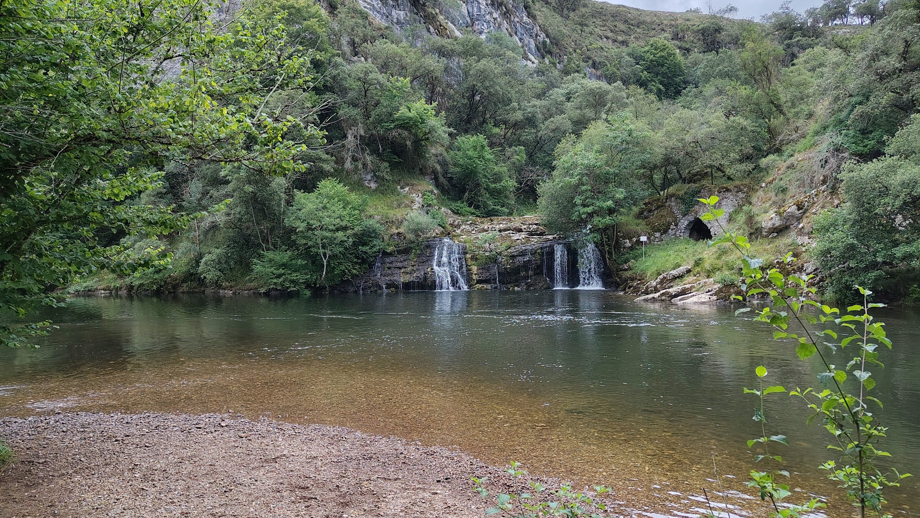A small waterfall flowing into a pool surrounded by woodland