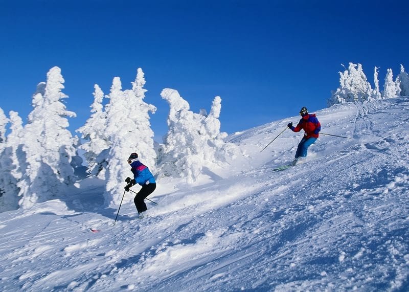 Two skiers carving turns down a slope past snow-laden trees