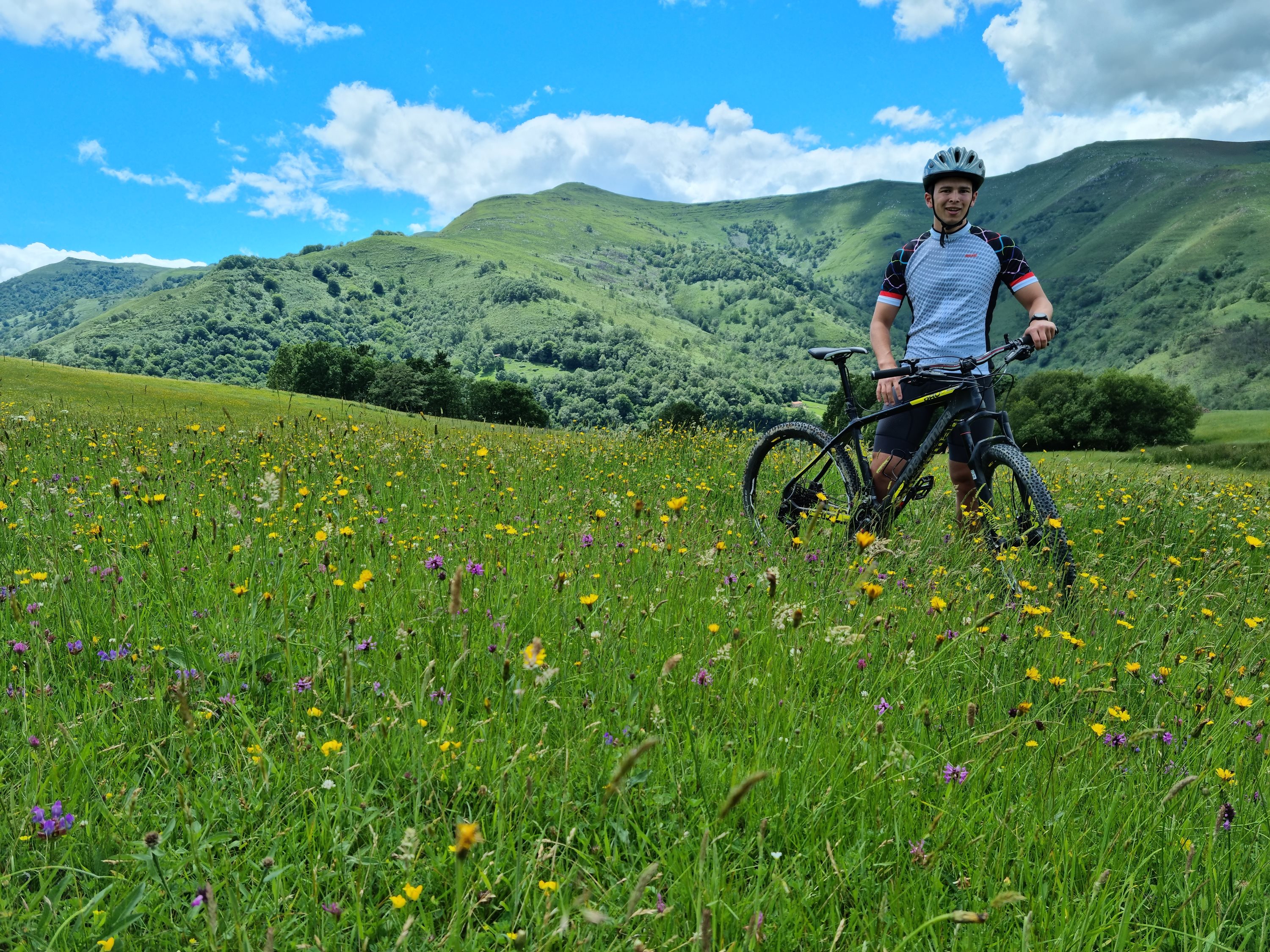 A cyclist with a mountain bike standing in a wildflower meadow below green hills