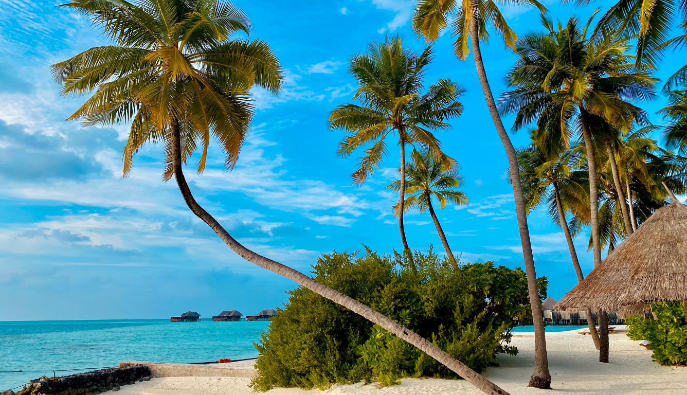 Palm trees on a white sand beach beside a thatched-roof villa