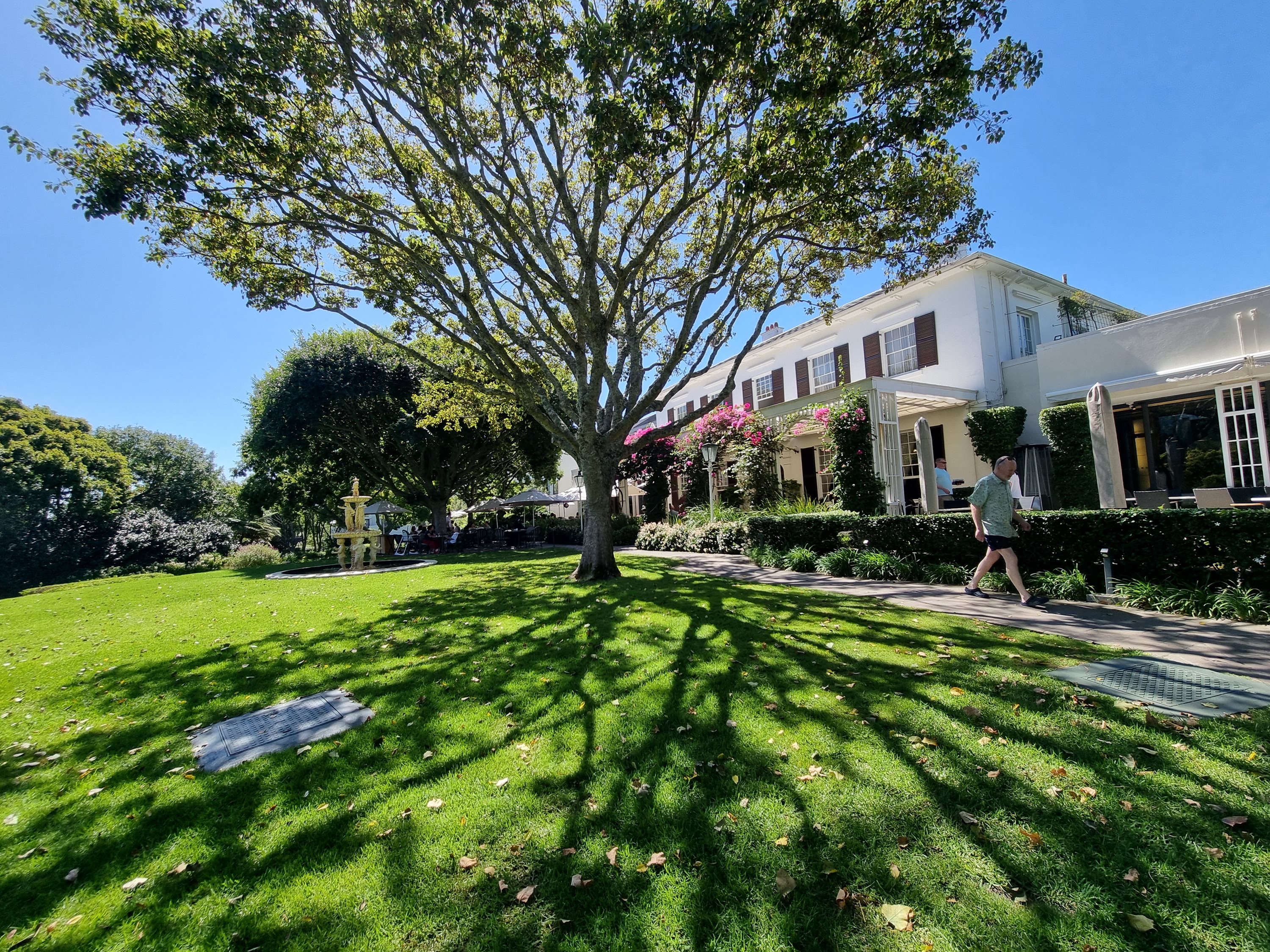 A grand white colonial-style building beyond a lawn and shade tree