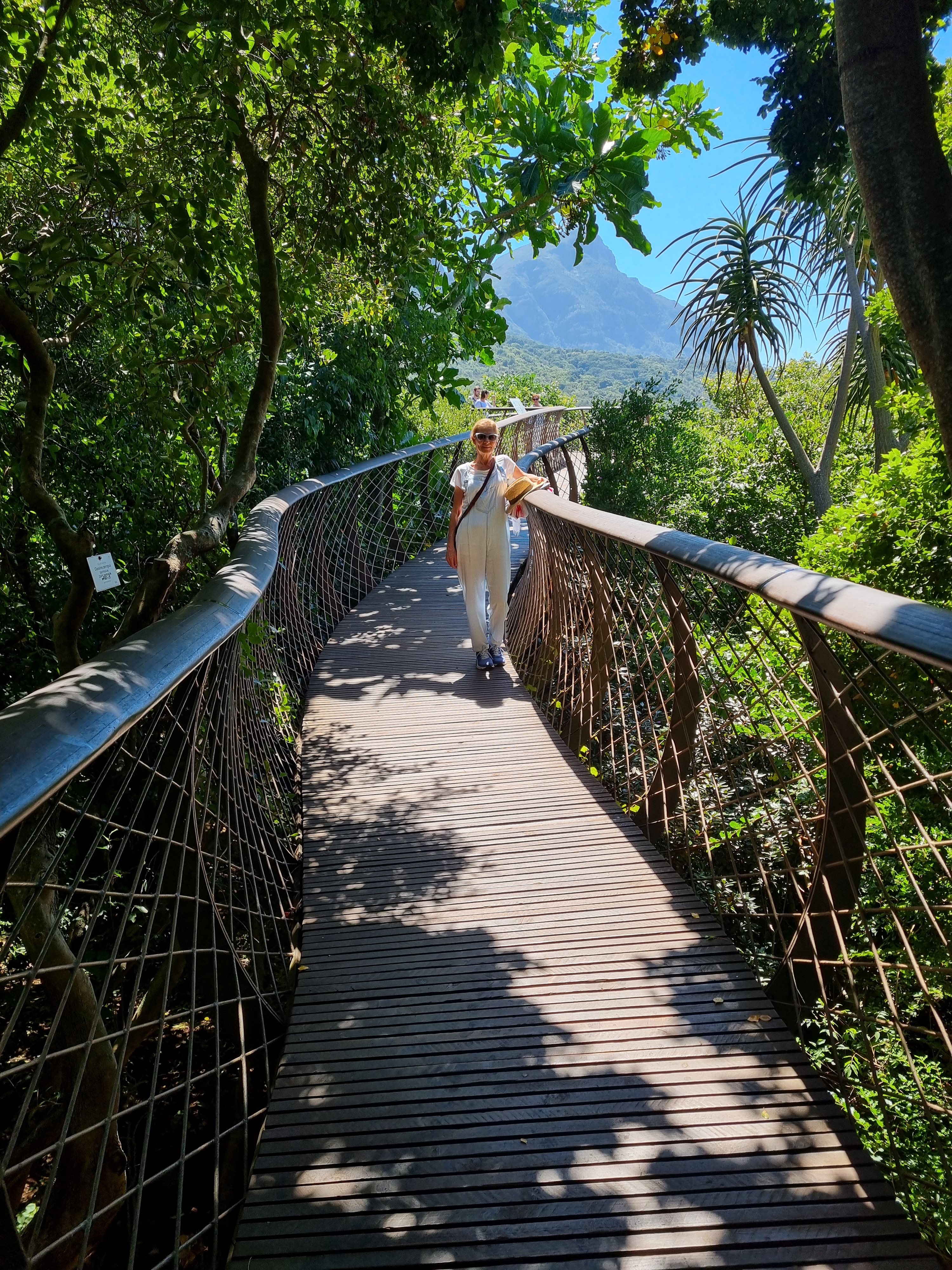 A woman standing on a treetop canopy walkway with mountains beyond