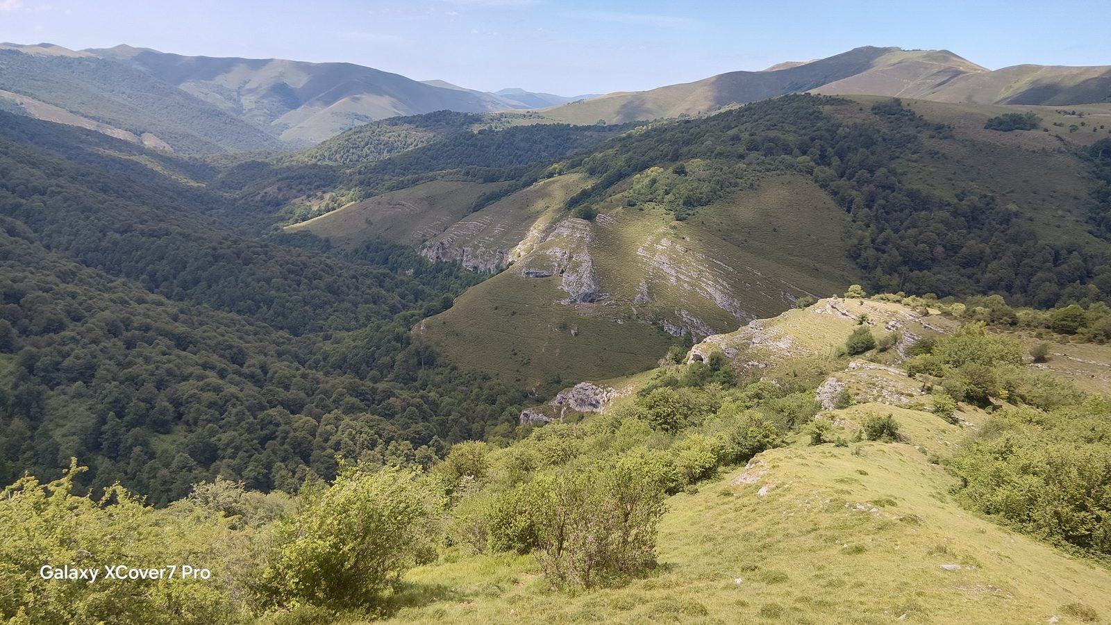 A green valley between forested mountain ridges