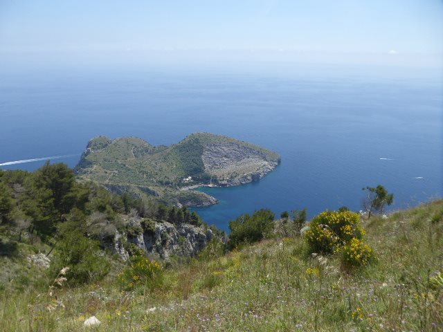 Aerial view of a green headland jutting into the sea