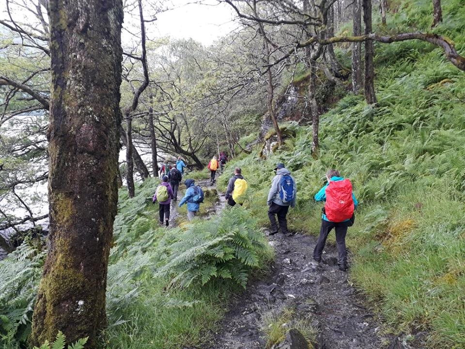 A line of walkers with backpacks following a woodland trail