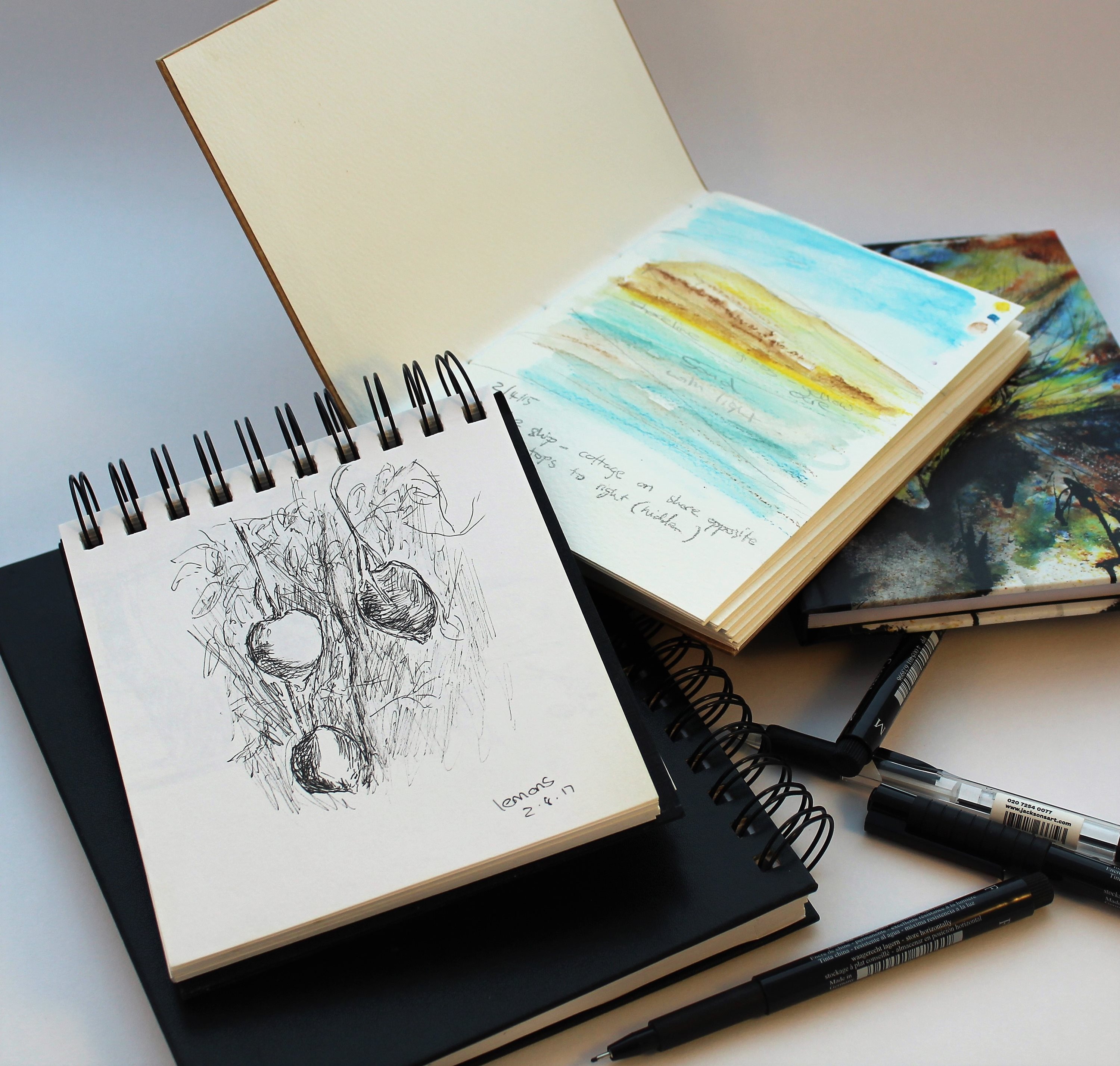 Open sketchbooks with pencil and watercolour drawings alongside pens