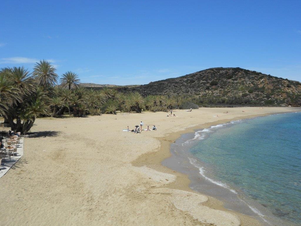 A secluded palm-fringed beach cove with clear turquoise water