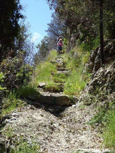 Two walkers climbing a stone staircase path up a wooded hillside