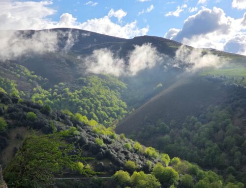 Northern Spain Holidays: Discover Agara, a Hidden Gem